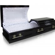 Гроб лакированный 027